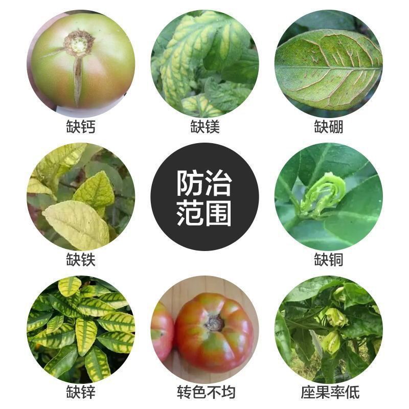 钙镁硼锌铁中量元素水溶肥作物通用叶面肥果树蔬菜农用水溶