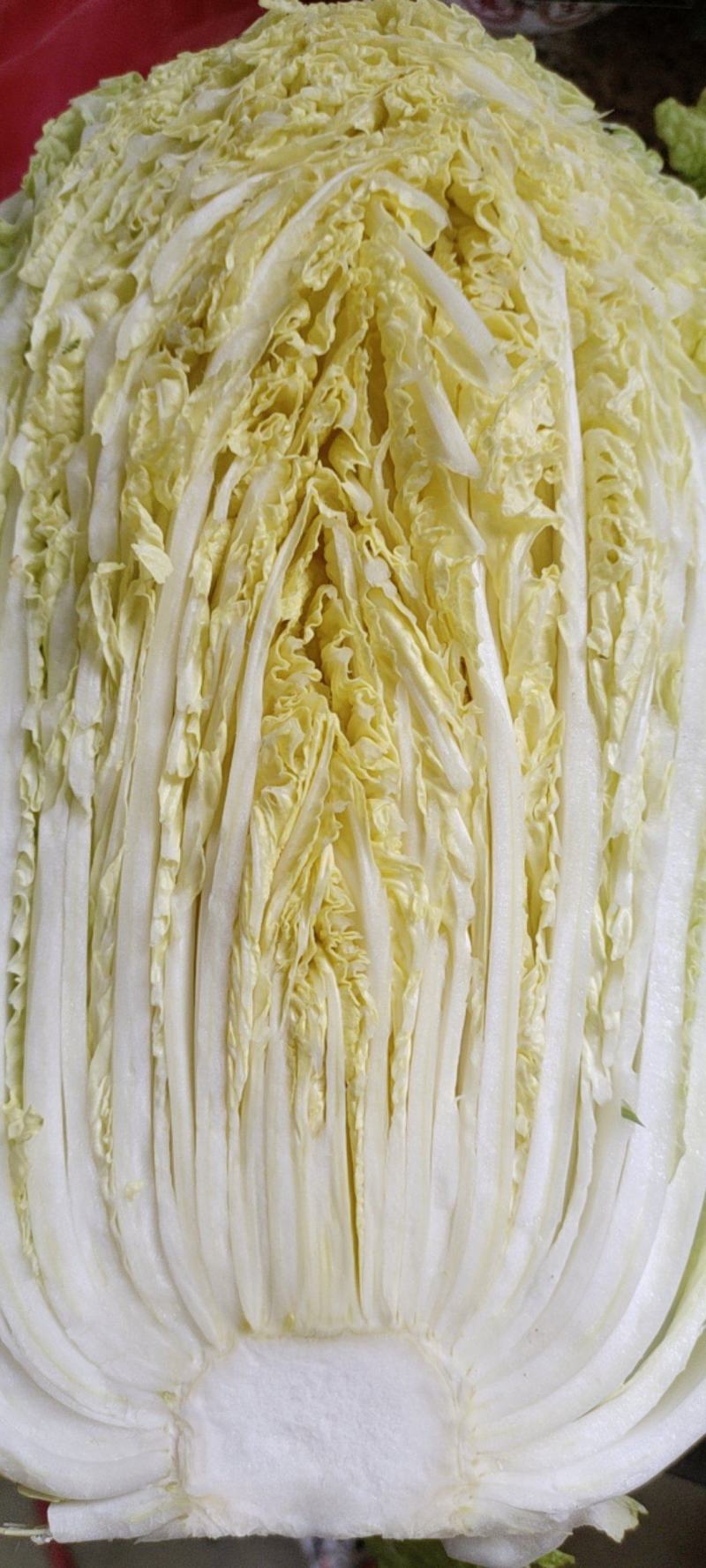 黄心大白菜，白心大白菜