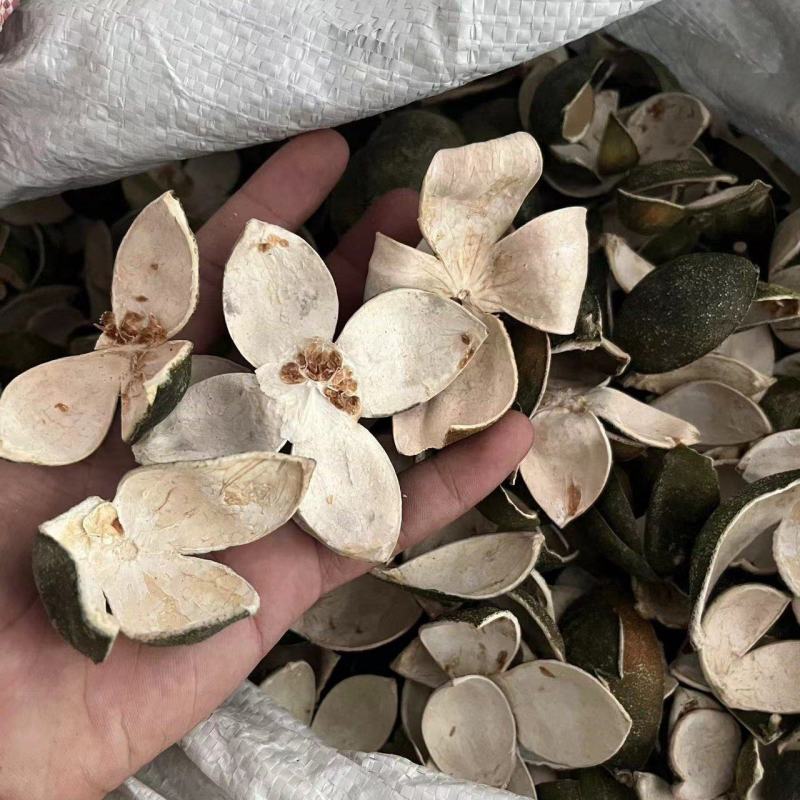 【包邮】青皮四花青皮中药材四花青皮，可线上下单长期合作