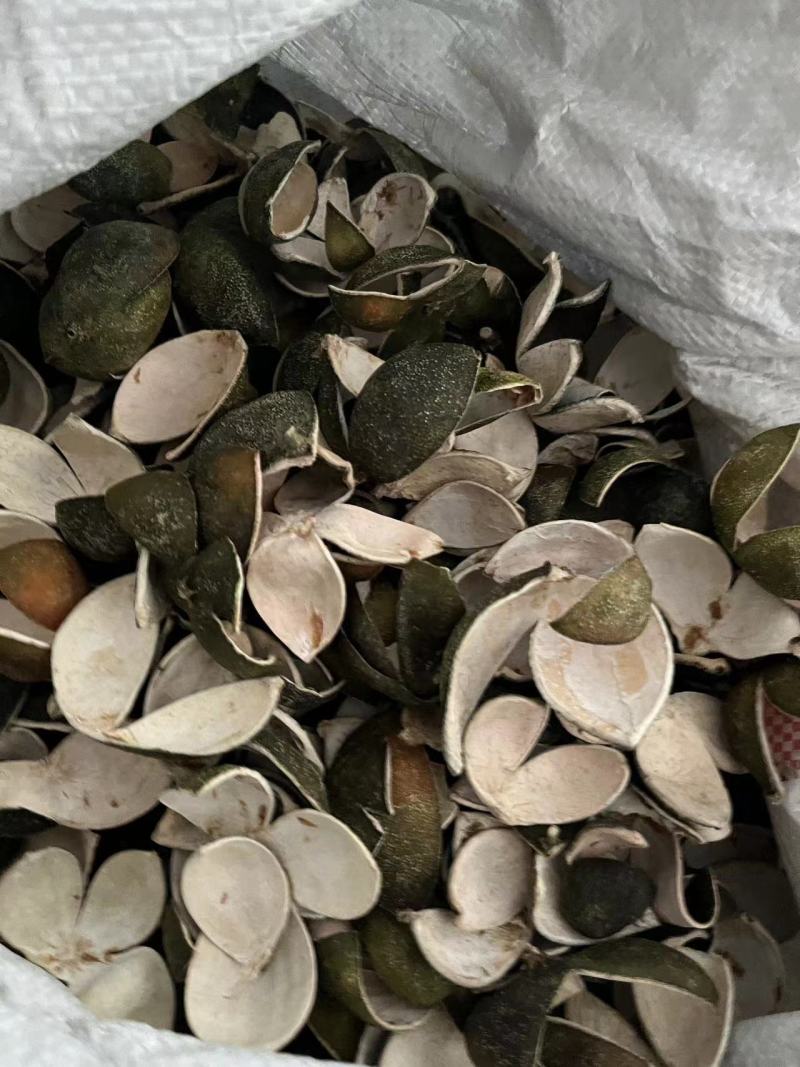 【包邮】青皮四花青皮中药材四花青皮，可线上下单长期合作