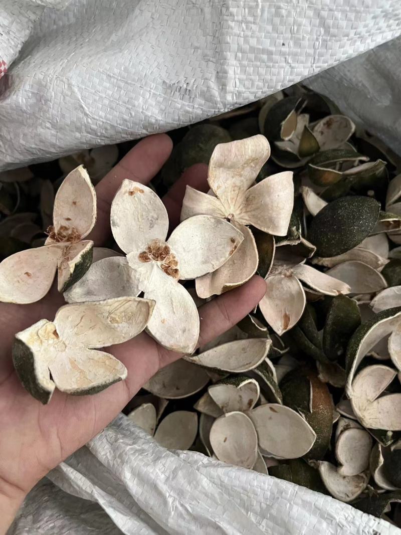 【包邮】青皮四花青皮中药材四花青皮，可线上下单长期合作