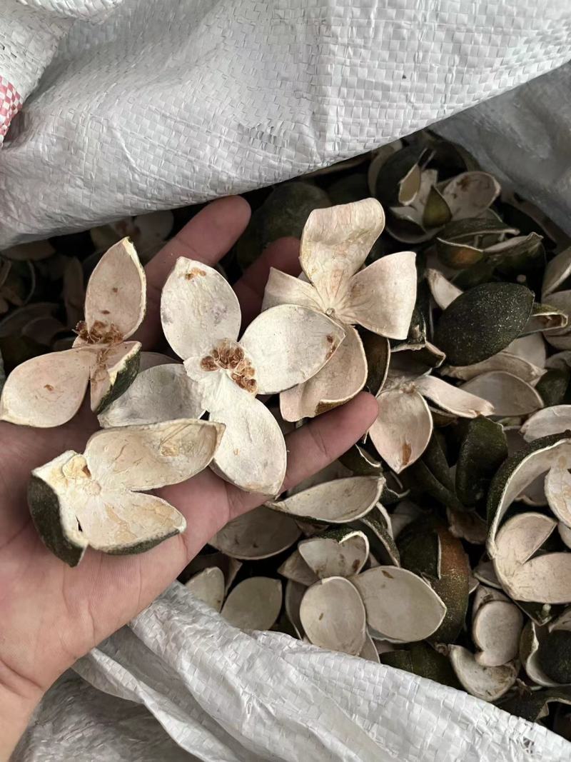 【包邮】青皮四花青皮中药材四花青皮，可线上下单长期合作
