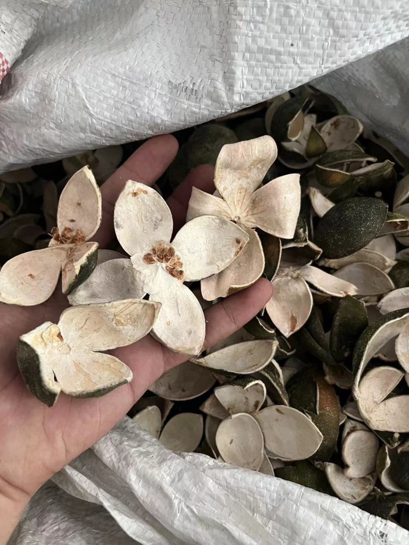 【包邮】青皮四花青皮中药材四花青皮，可线上下单长期合作