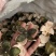 【包邮】青皮四花青皮中药材四花青皮，可线上下单长期合作