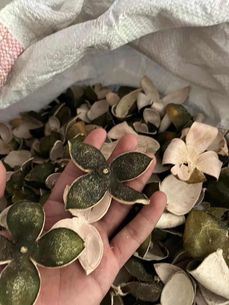 【包邮】青皮四花青皮中药材四花青皮，可线上下单长期合作