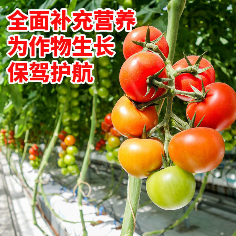 EDTA螯合微量元素正品铁锌铜锰硼多元素水溶肥果树蔬菜通