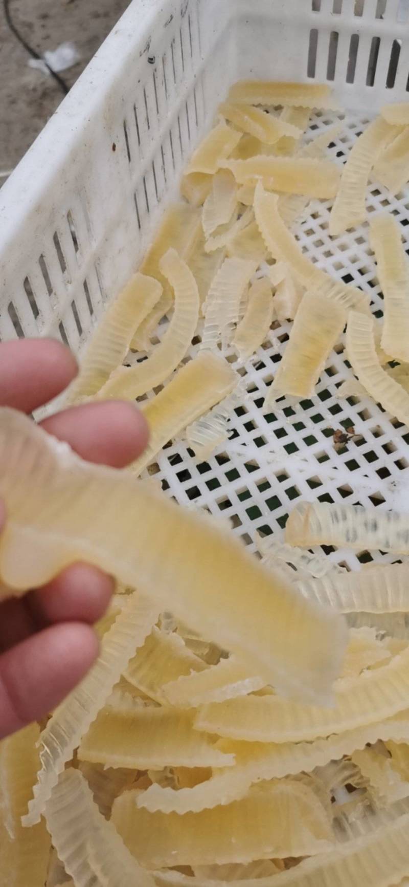 水牛皮丝，特厚牛皮丝，可切片切块