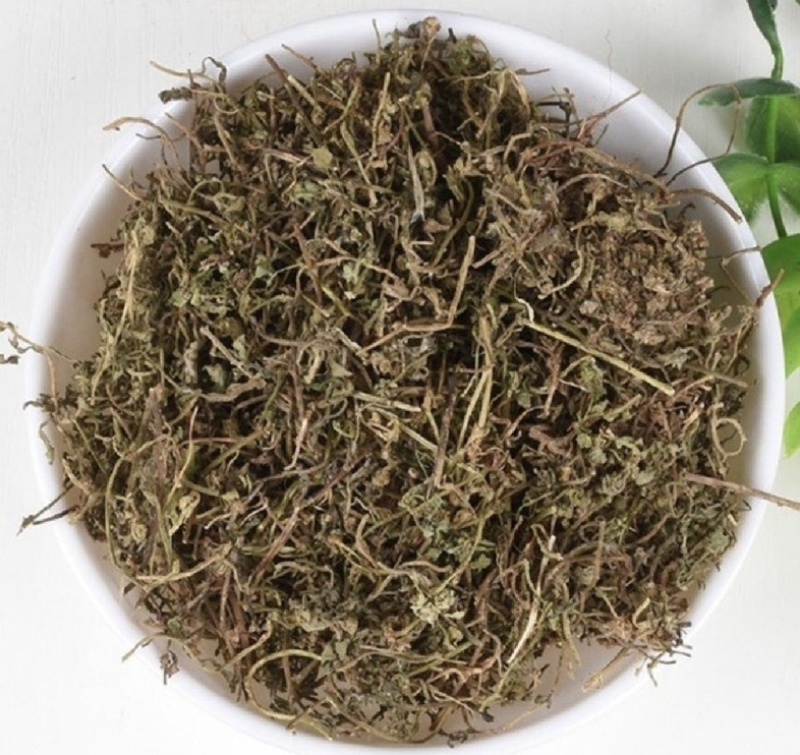 鹅不食草振兴药材批发一手货源
