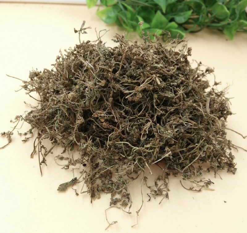 鹅不食草振兴药材批发一手货源
