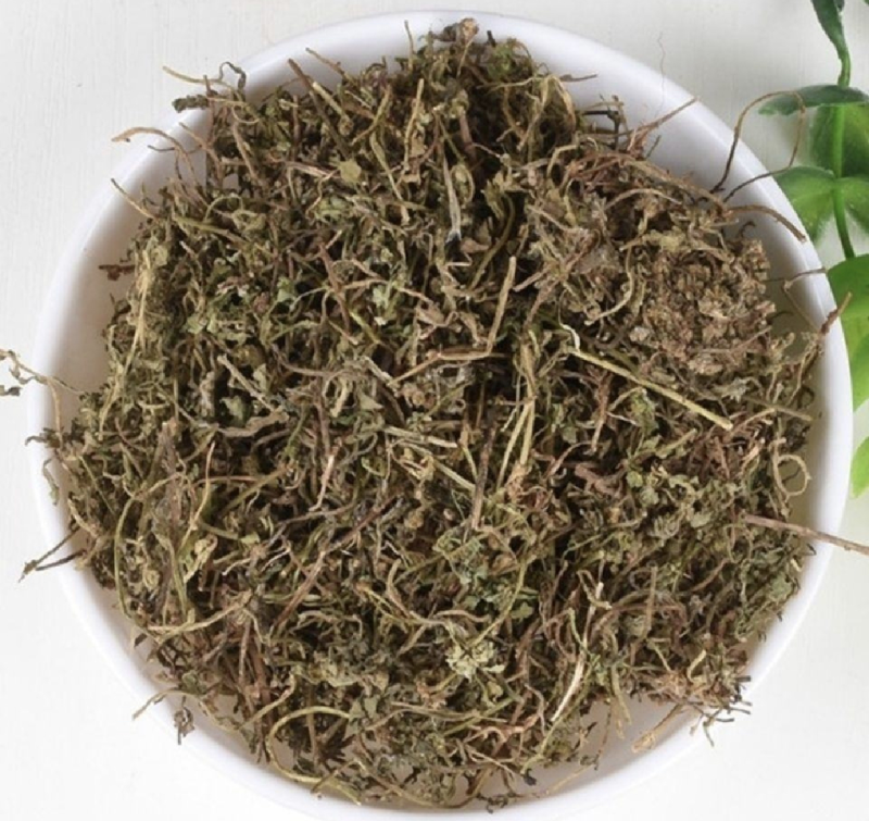 鹅不食草振兴药材批发一手货源