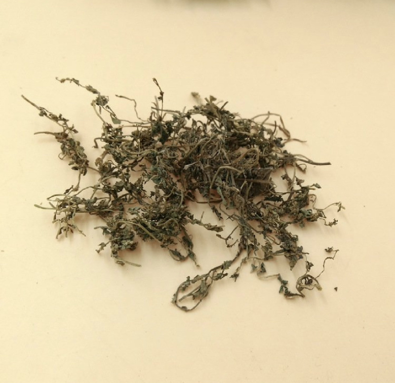 鹅不食草振兴药材批发一手货源