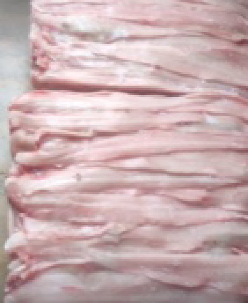 福建鲨鱼肉肉质鲜美一手货源基地直发品质保证量大从优