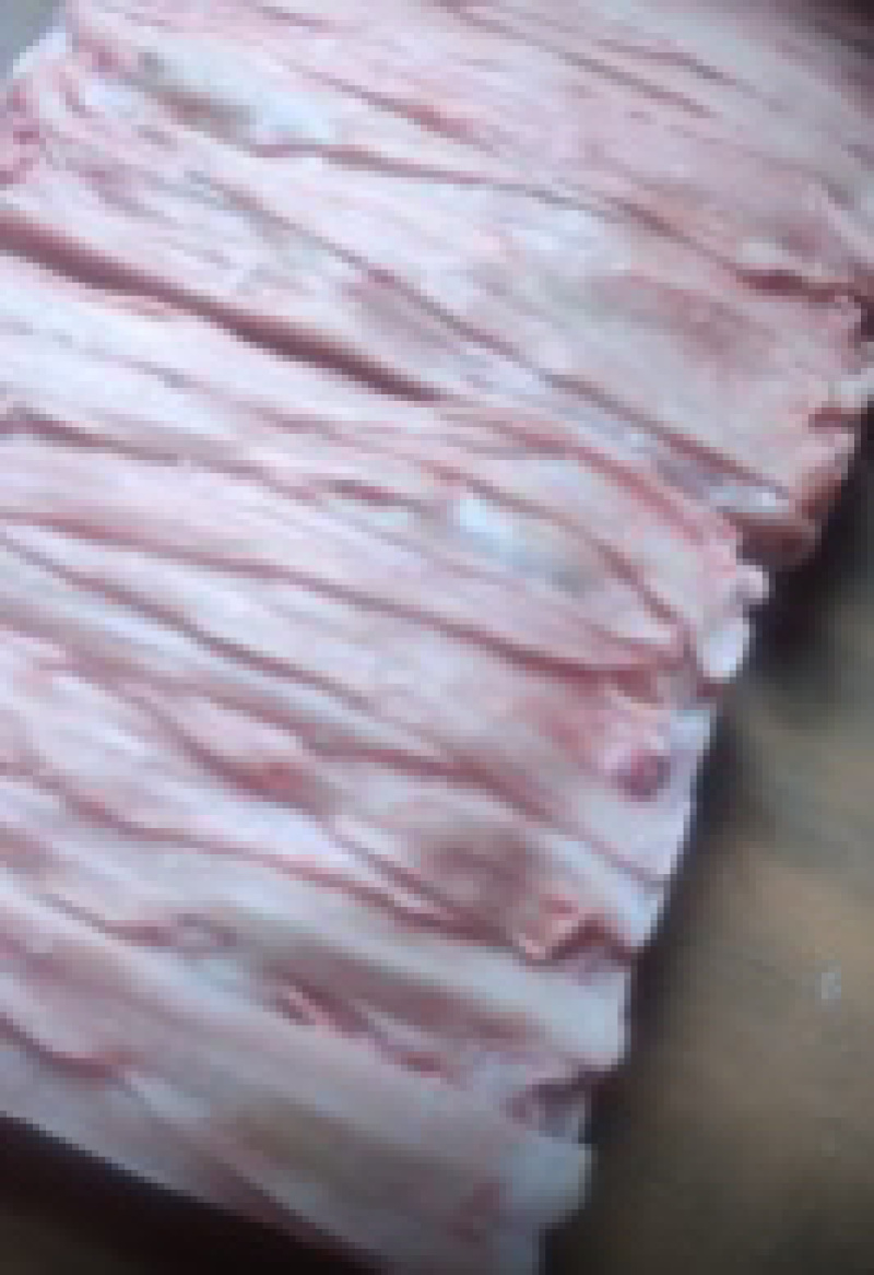 福建鲨鱼肉肉质鲜美一手货源基地直发品质保证量大从优