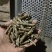 花生秧花生秧颗粒