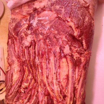 草原黄标马肉绿色零添加