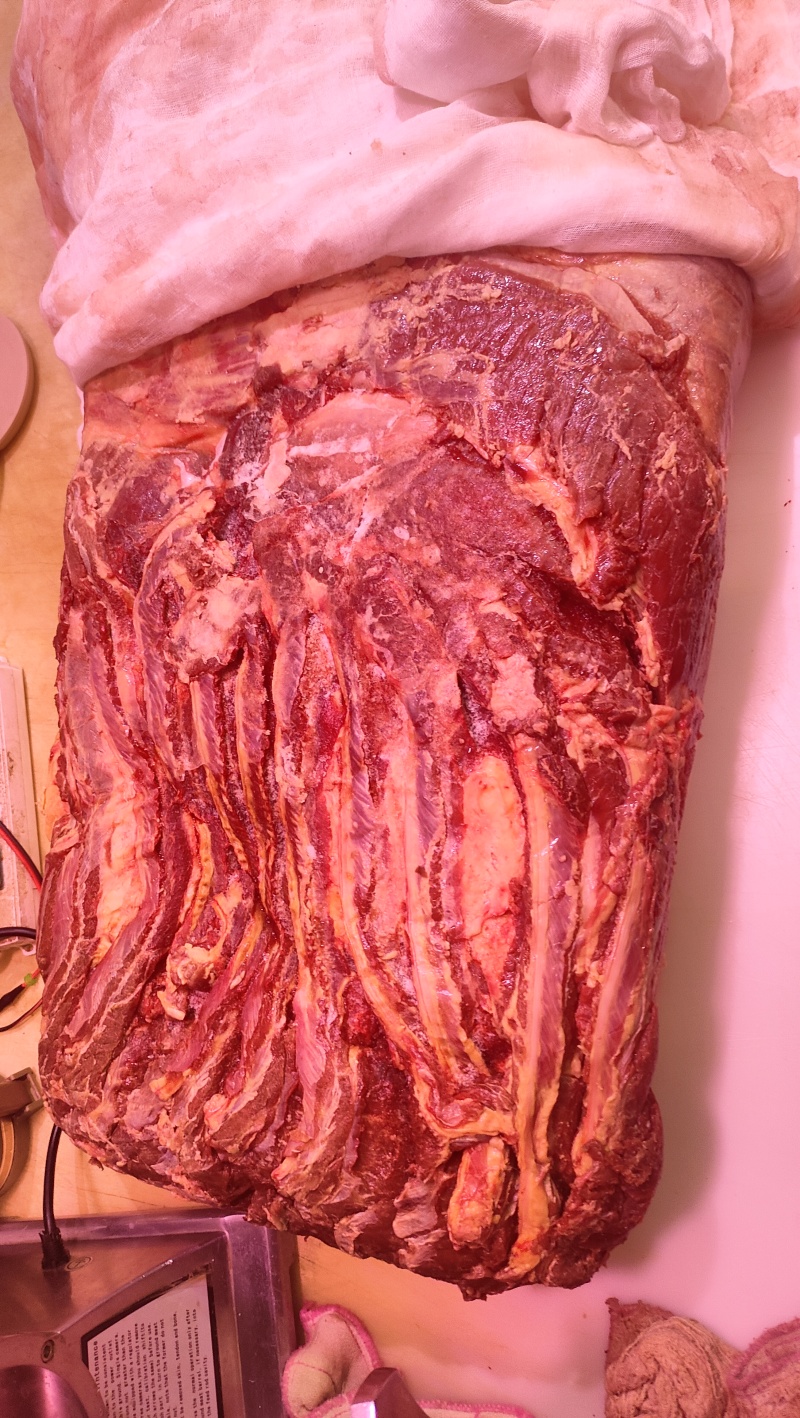 草原黄标马肉绿色零添加