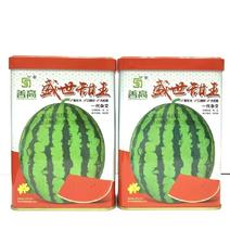 善高盛世甜王西瓜种子高产早熟抗病杂交一代大红瓤西瓜种籽大