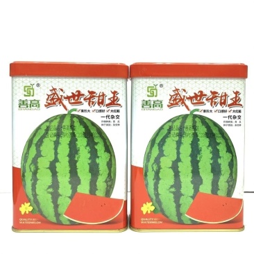 善高盛世甜王西瓜种子高产早熟抗病杂交一代大红瓤西瓜种籽大