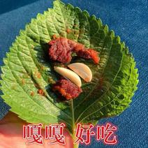 农家苏子叶新鲜食用100g2斤紫苏叶烤肉商用