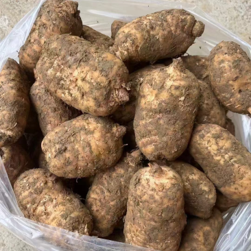 精品鲜天麻批发零售一件代发都可以欢迎新老客户订购