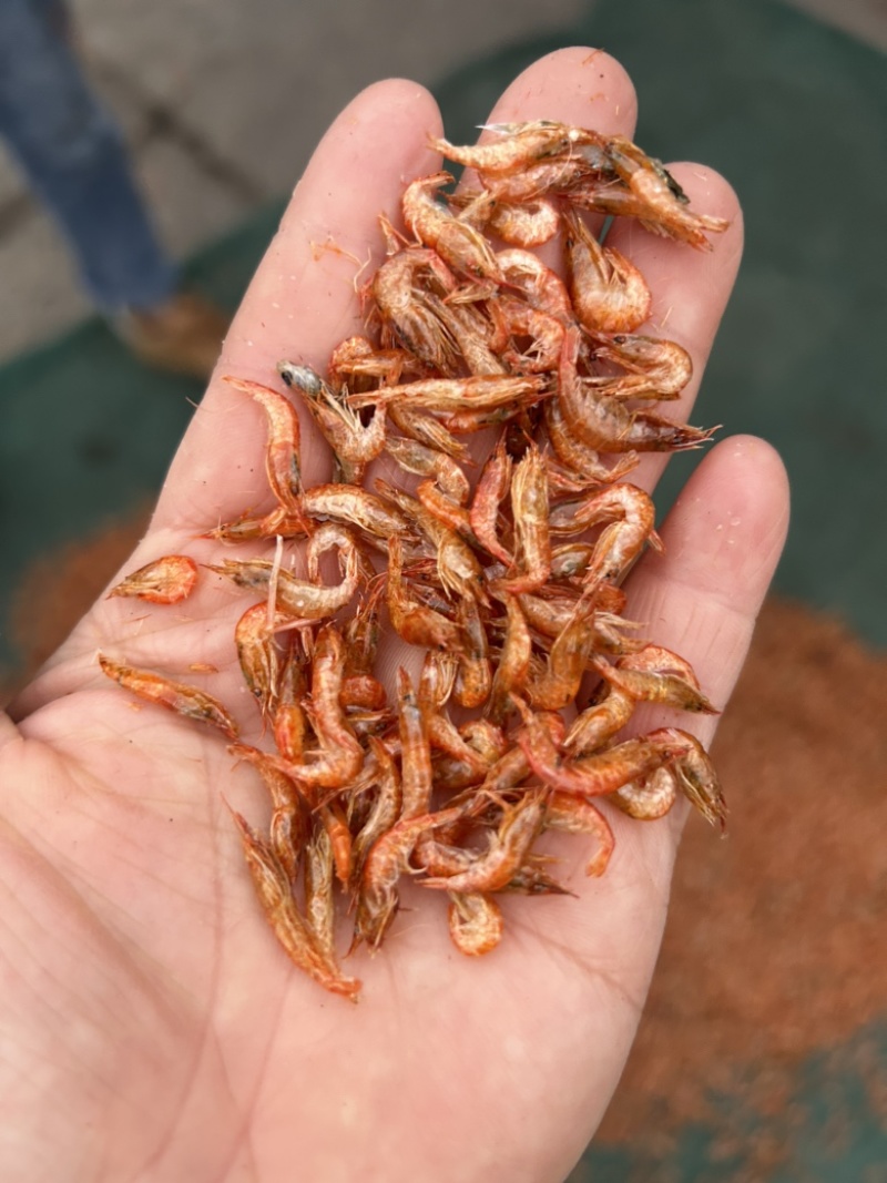 烘干无盐虾量大价格可以优惠一手货源产地直发欢迎电联