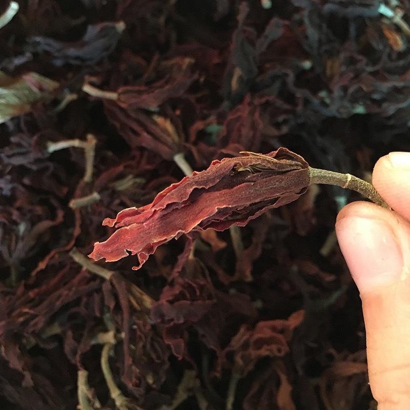大量供应江湖地摊产品玉兰花肾兰花凉茶花茶批发