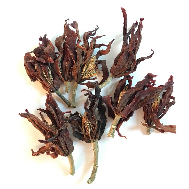 大量供应江湖地摊产品玉兰花肾兰花凉茶花茶批发