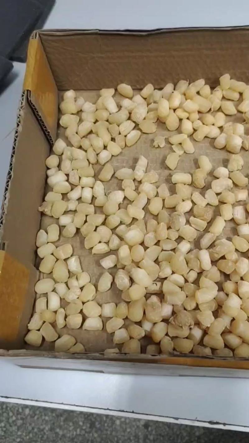 干贝瑶柱干货元贝扇贝丁500g非淡晒海鲜水产干货干扇贝柱