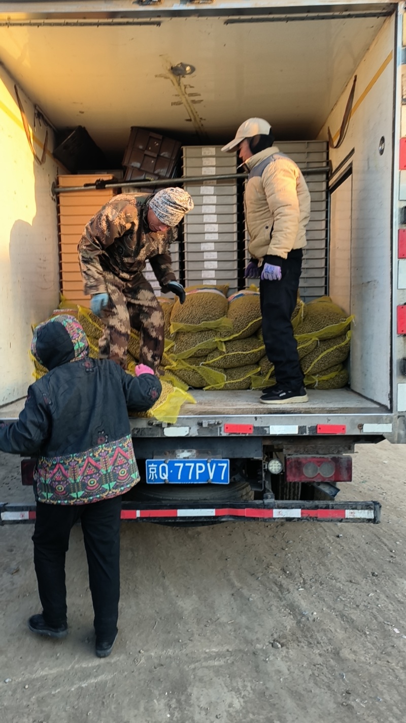 原产地直发优质白玉山药豆规格齐全价格合理，颜色光亮无干头