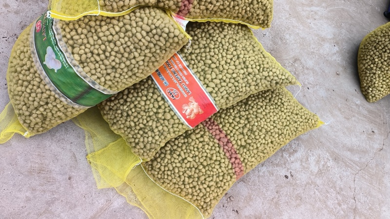 原产地直发优质白玉山药豆规格齐全价格合理，颜色光亮无干头
