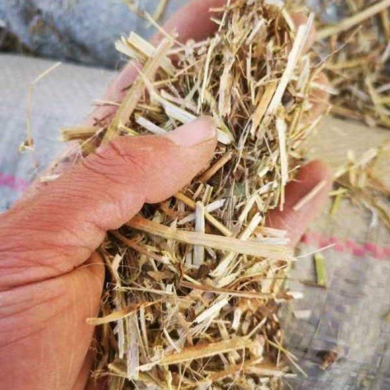 花生秧产地一手货源对接大型批发商欢迎来电咨询洽谈合作