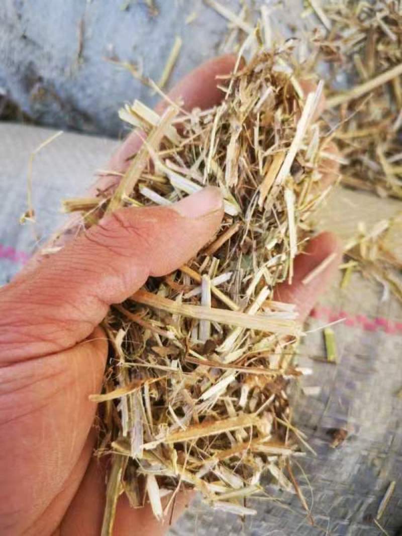花生秧产地一手货源对接大型批发商欢迎来电咨询洽谈合作