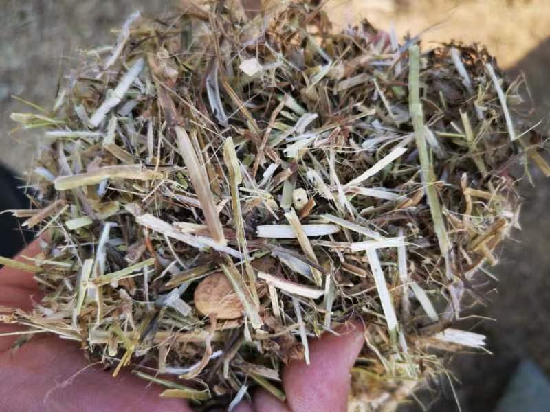 花生秧产地一手货源对接大型批发商欢迎来电咨询洽谈合作