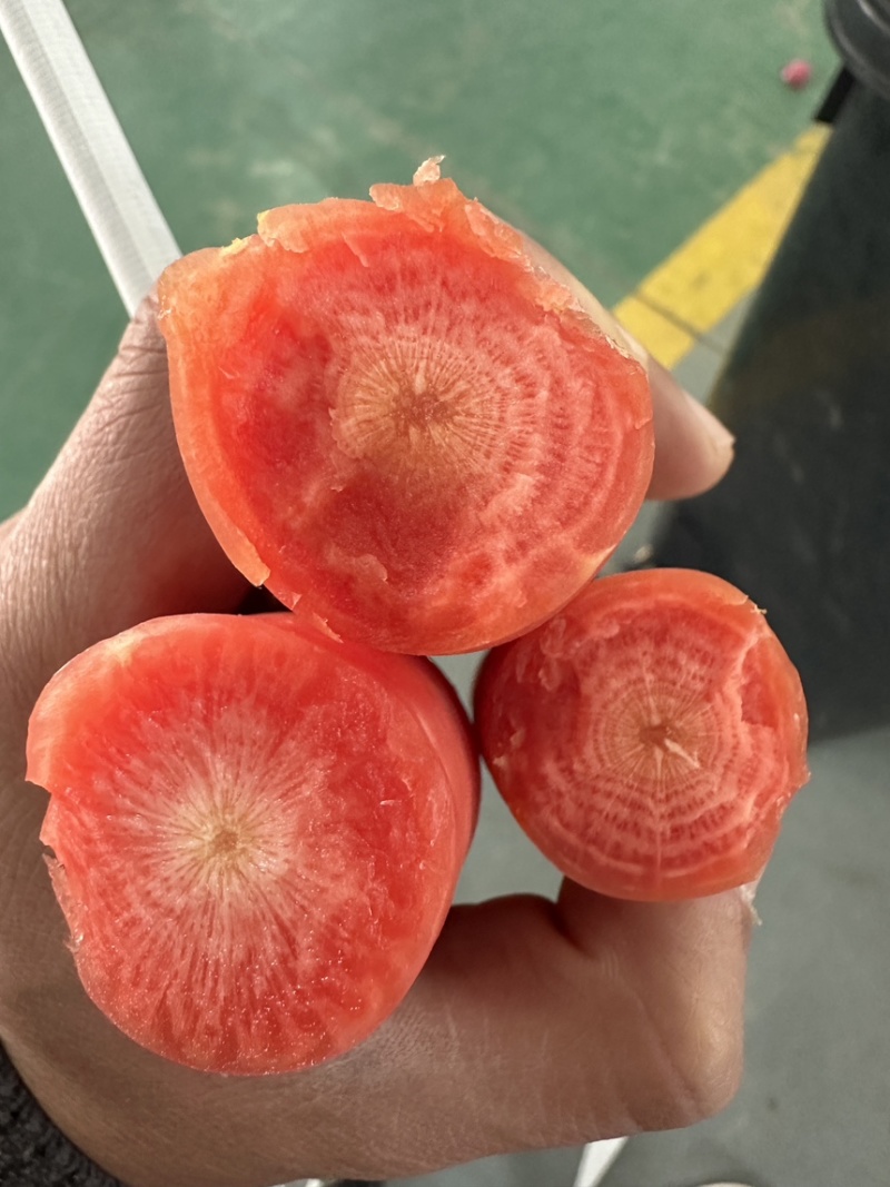 称干红胡萝卜水果萝卜皮毛干净，颜色好，个头均匀产地直发