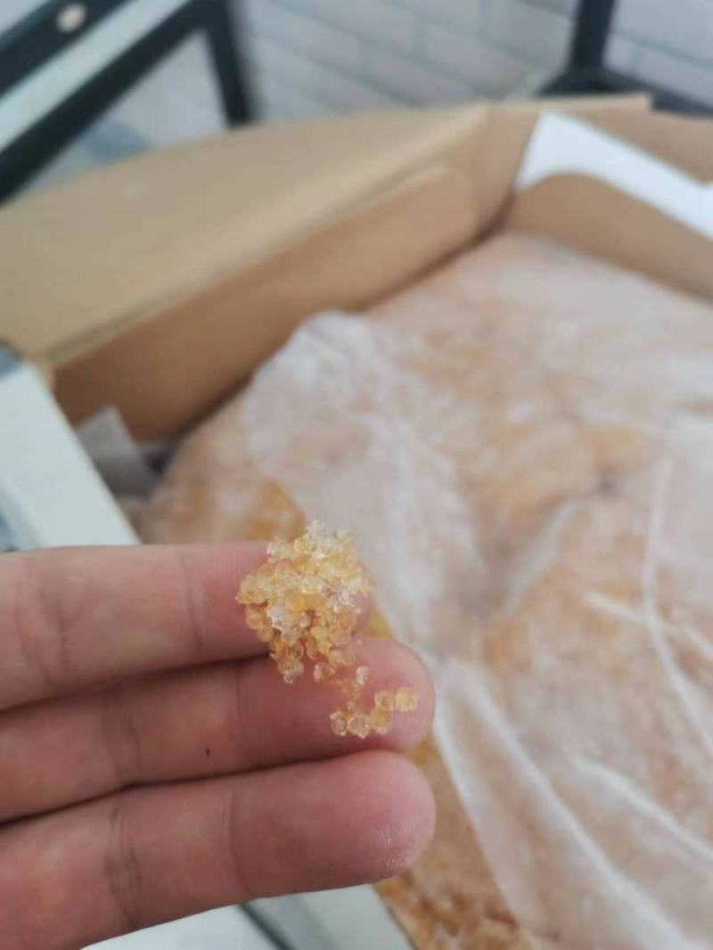 飞鱼籽鲱鱼籽