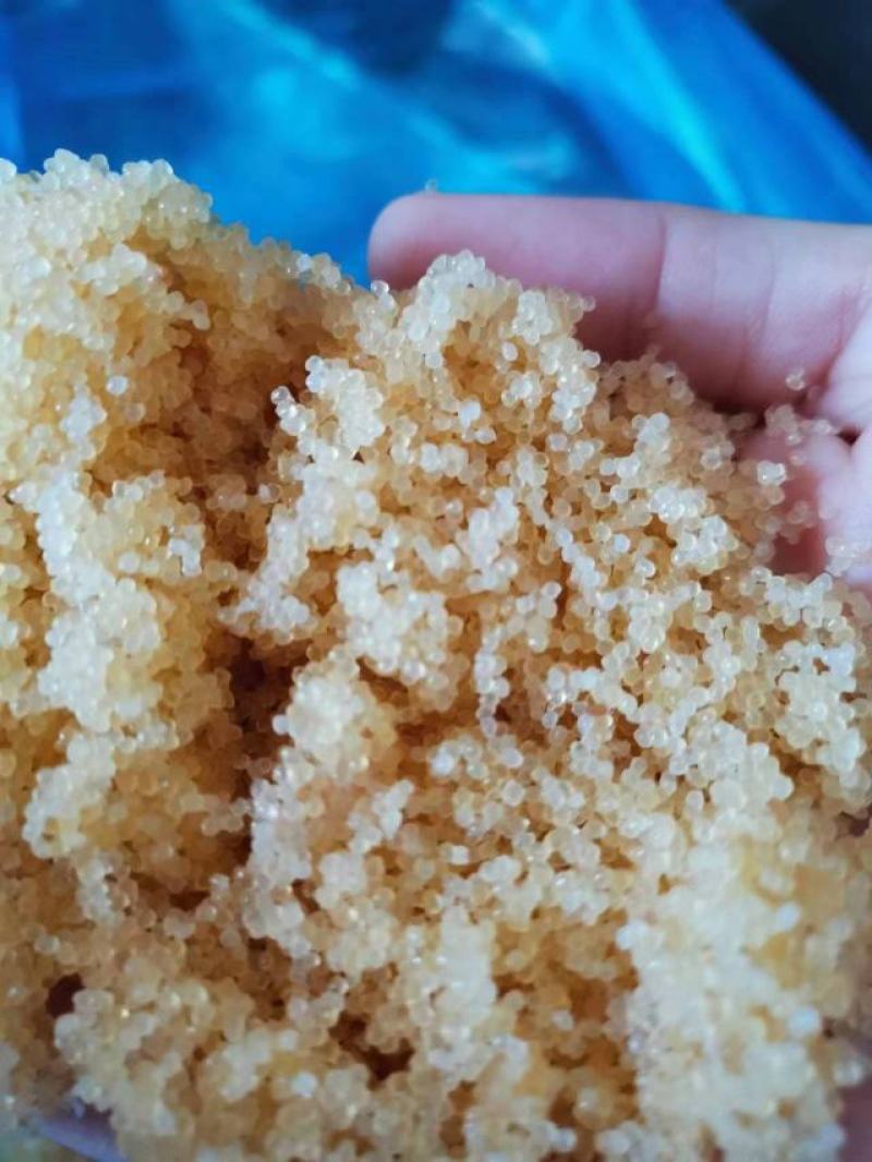飞鱼籽鲱鱼籽