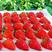 安徽精品红颜草莓大量上市，产地一手货源，现摘现发，价格可谈