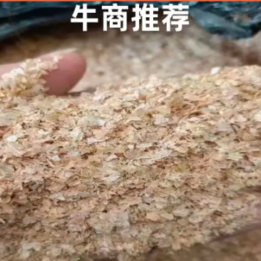 麦麸，适合牛羊鸡猪宝宝预混饲料，欢迎老板选购