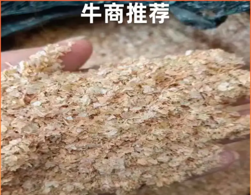 麦麸，适合牛羊鸡猪宝宝预混饲料，欢迎老板选购