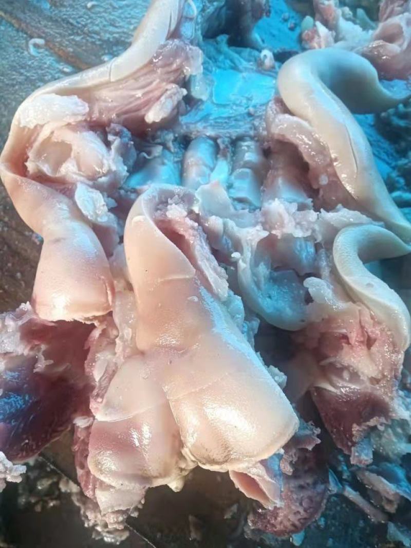 【推荐牛蹄筋】清真熟牛肉去油去骨头熟牛蹄筋支持一件代发