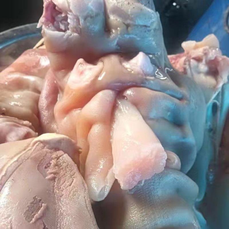 【推荐牛蹄筋】清真熟牛肉去油去骨头熟牛蹄筋支持一件代发