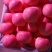【精品苹果】产地一手货源批发《保质保量/坏烂包赔》