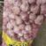 大蒜紫皮蒜金乡大蒜产区直发保质保量实力供应