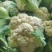 湖北花菜，紧花，实菜花，产地直发，对接大型加工厂