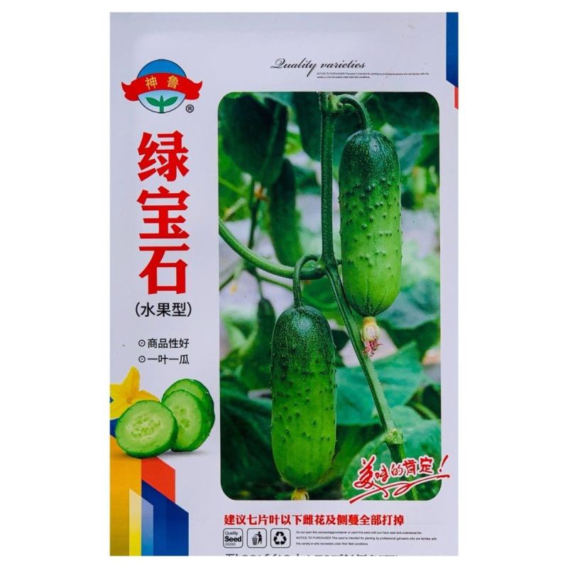 杂交早熟水果黄瓜种子旱黄瓜种子