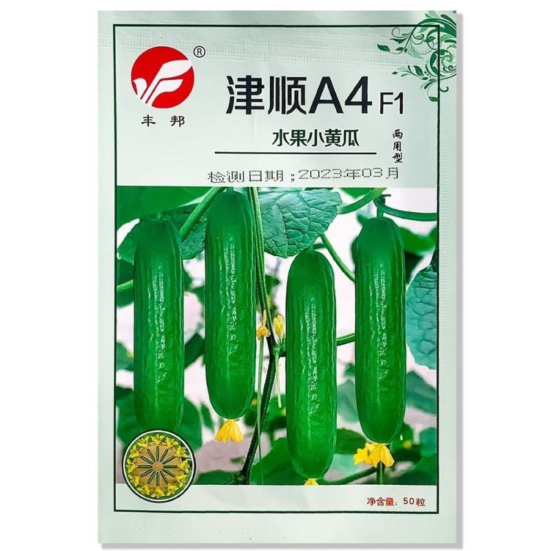 杂交早熟水果黄瓜种子旱黄瓜种子