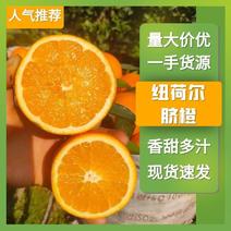 【纽荷尔脐橙】大量上市新鲜采摘湖北丹江口产地直发保质保量