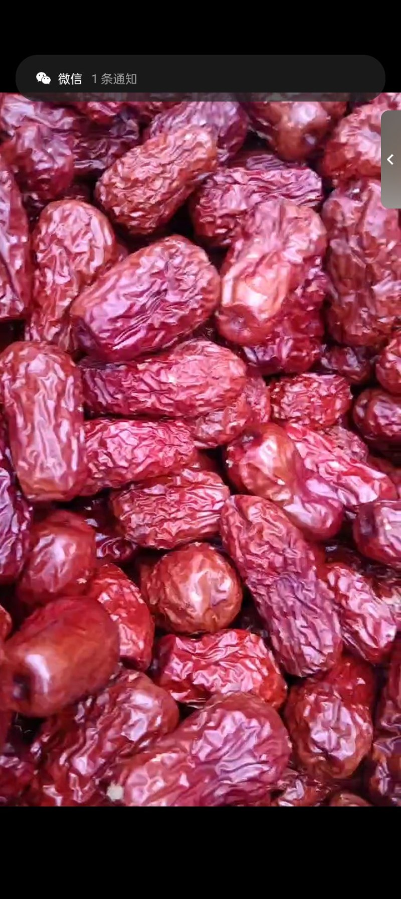 皮皮枣