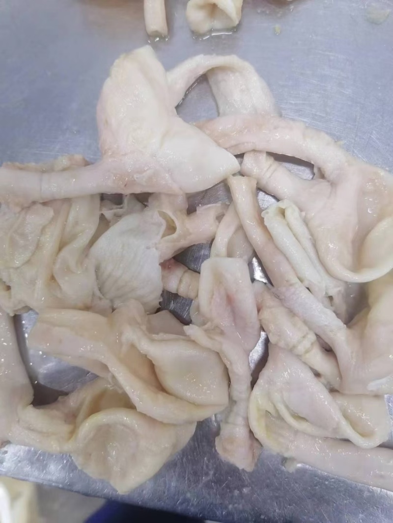 鸡嗉子大号鸡嗉子工厂发货现货新货