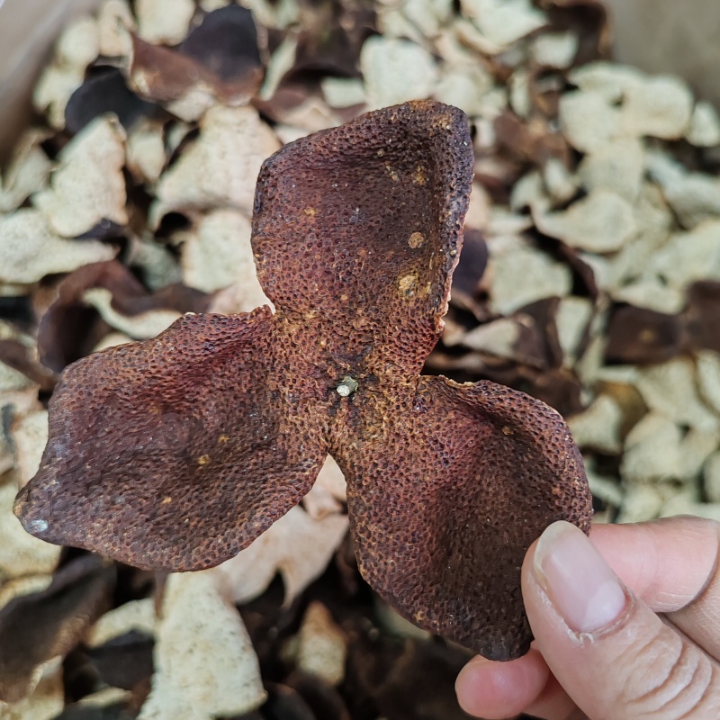 新会陈皮干仓陈皮500克包邮干货陈皮茶泡水陈皮茶叶批发